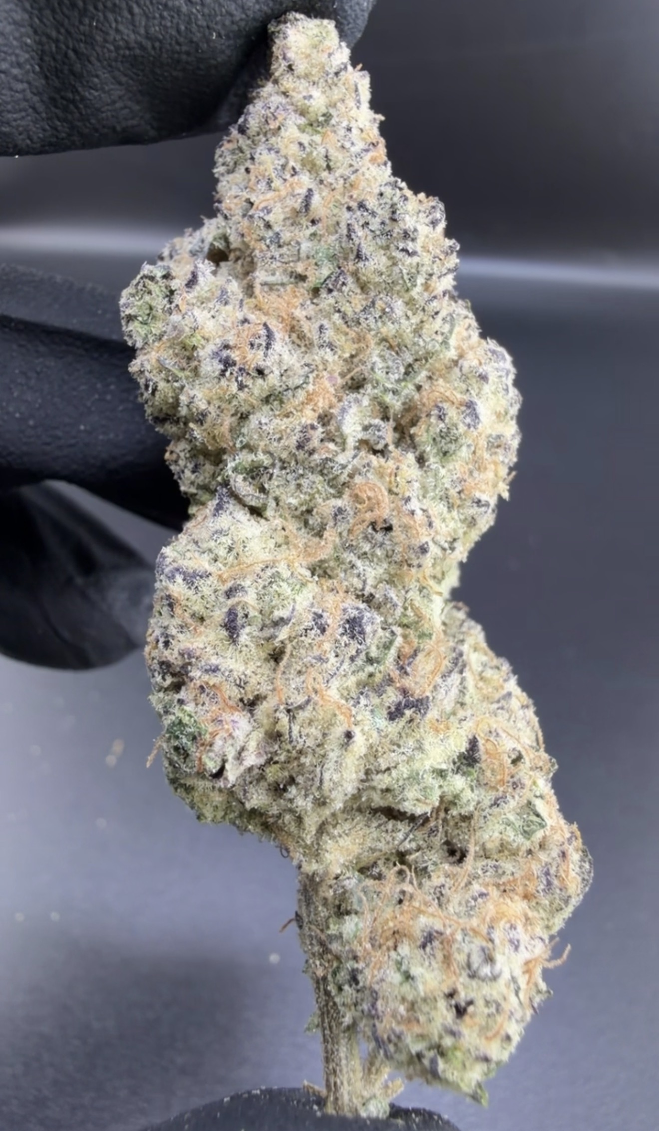 Modified Blueberries